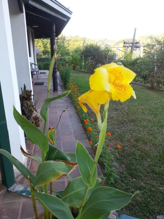 Kandy Holiday Home Exterior foto